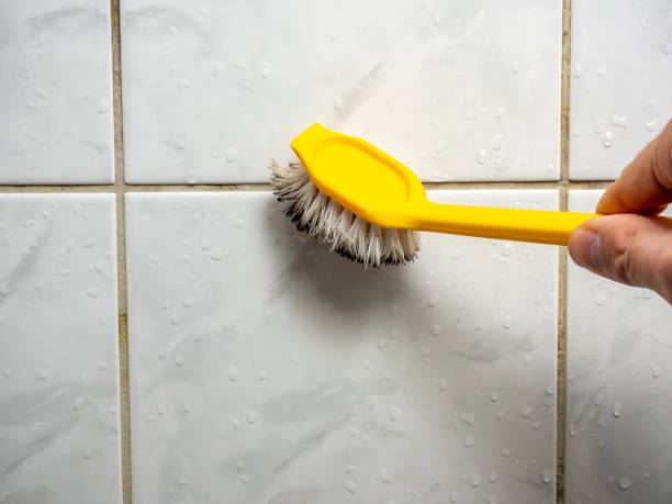 Best Mold Testing and Removal  in Harrington, DE