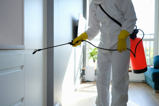 Best Certified Mold Removal  in Harrington, DE